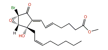 10,11-Epoxybromovulone II